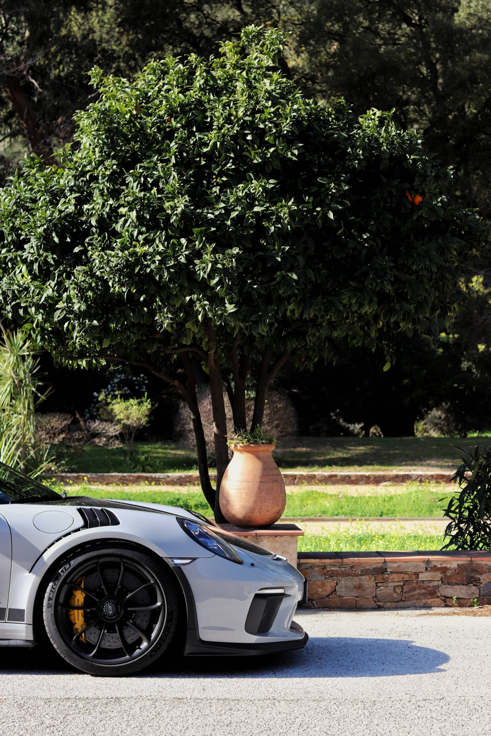 Porsche_911_991_GT3 RS_Pack Weissach_6